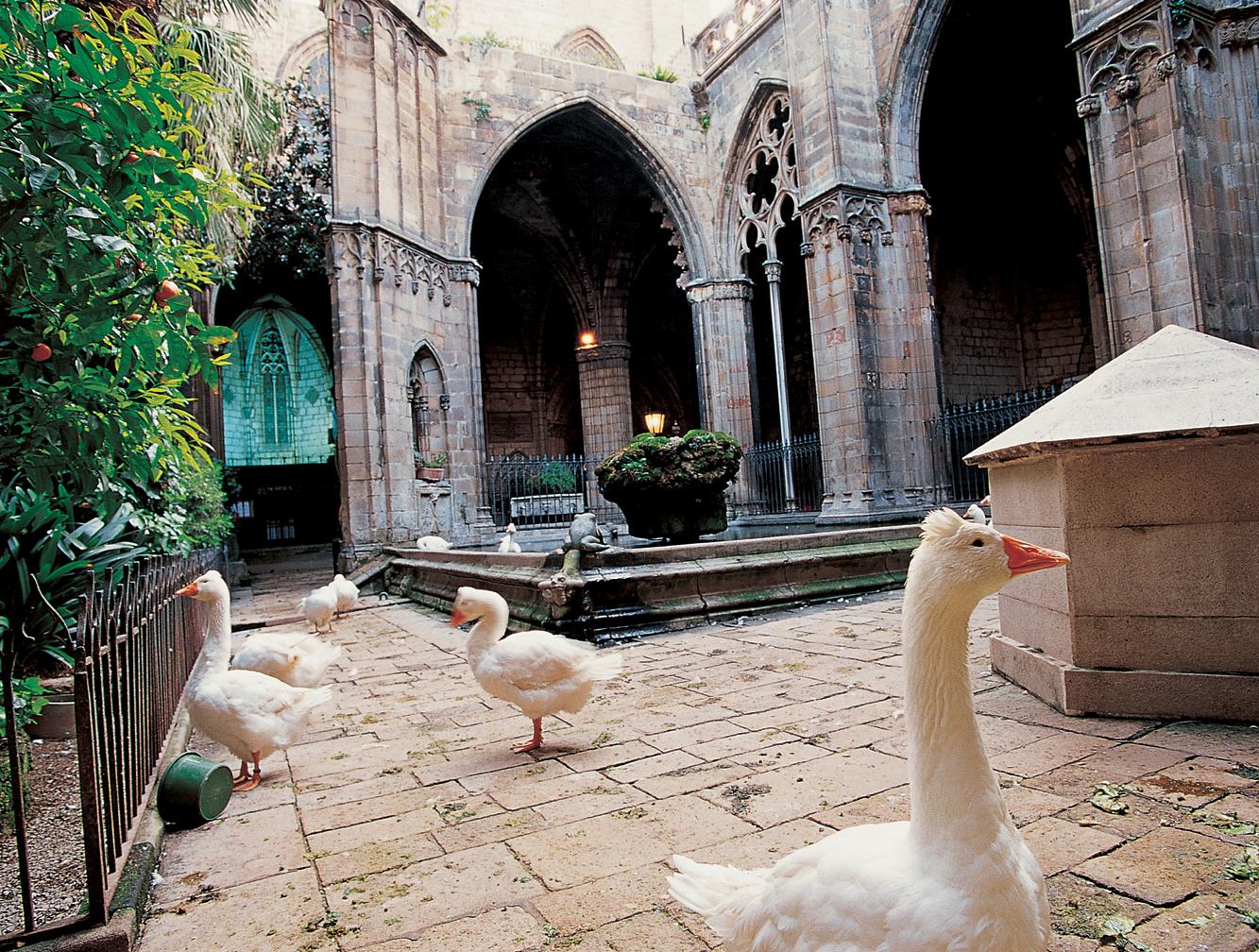Catedral de Barcelona