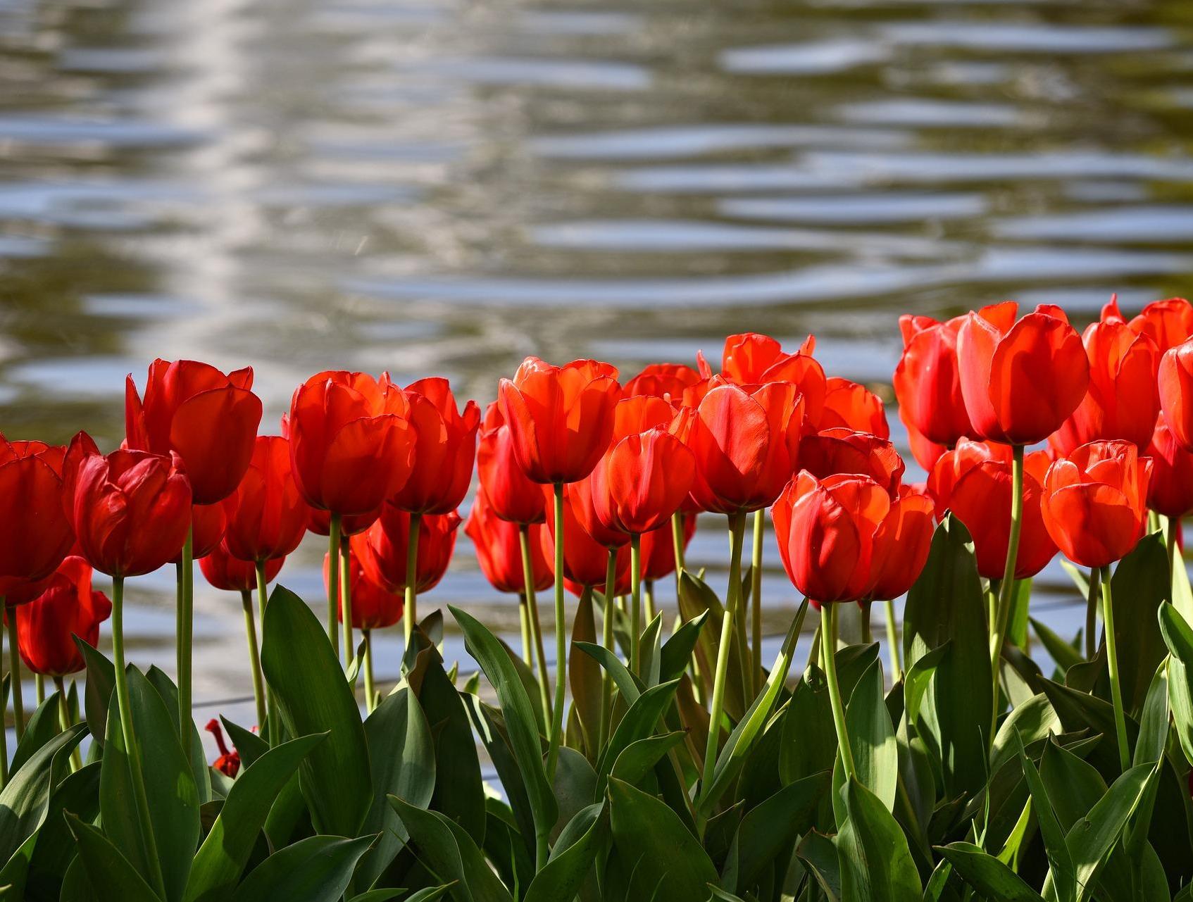 Kurpark mit Berggarten