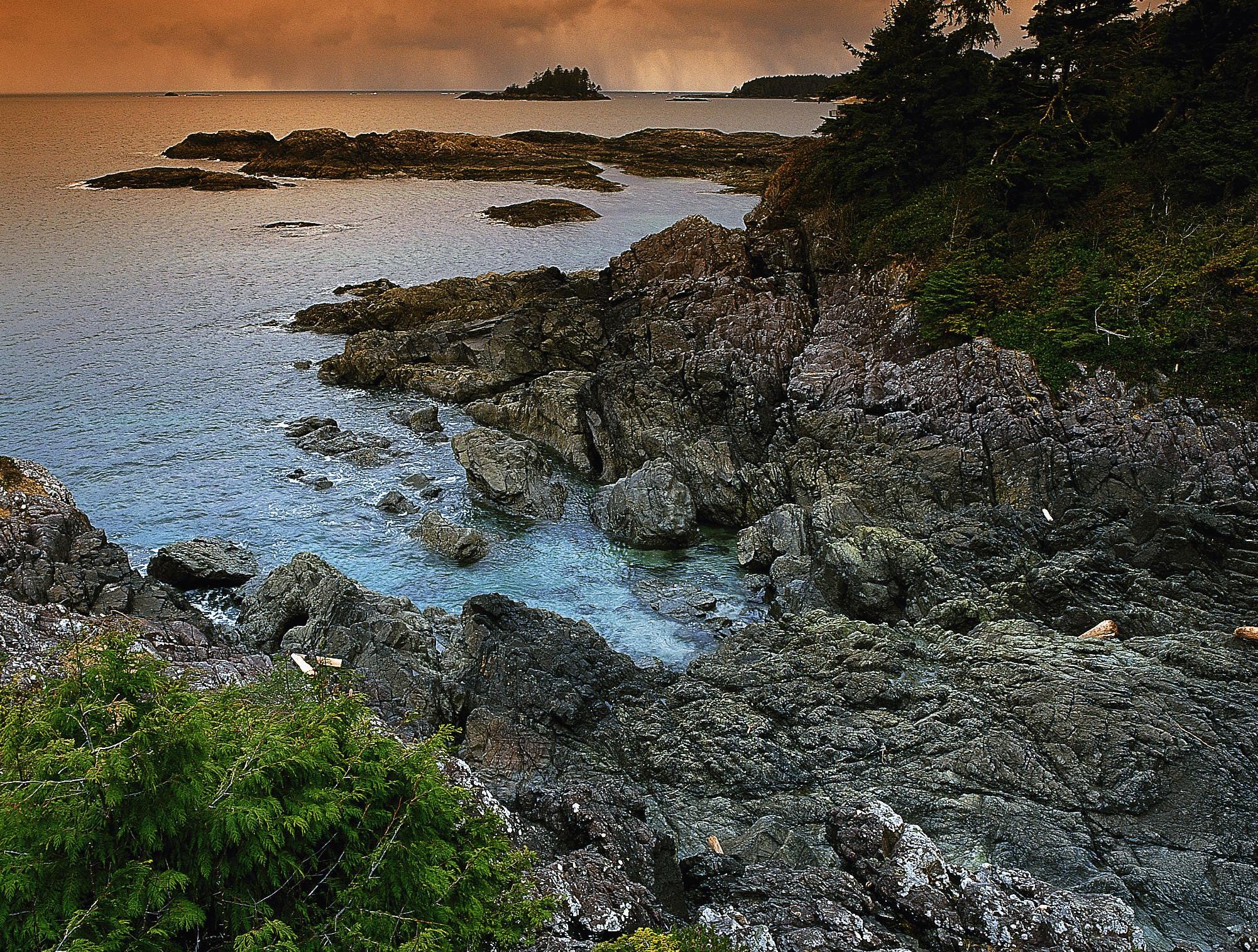 Pacific Rim National Park Reserve