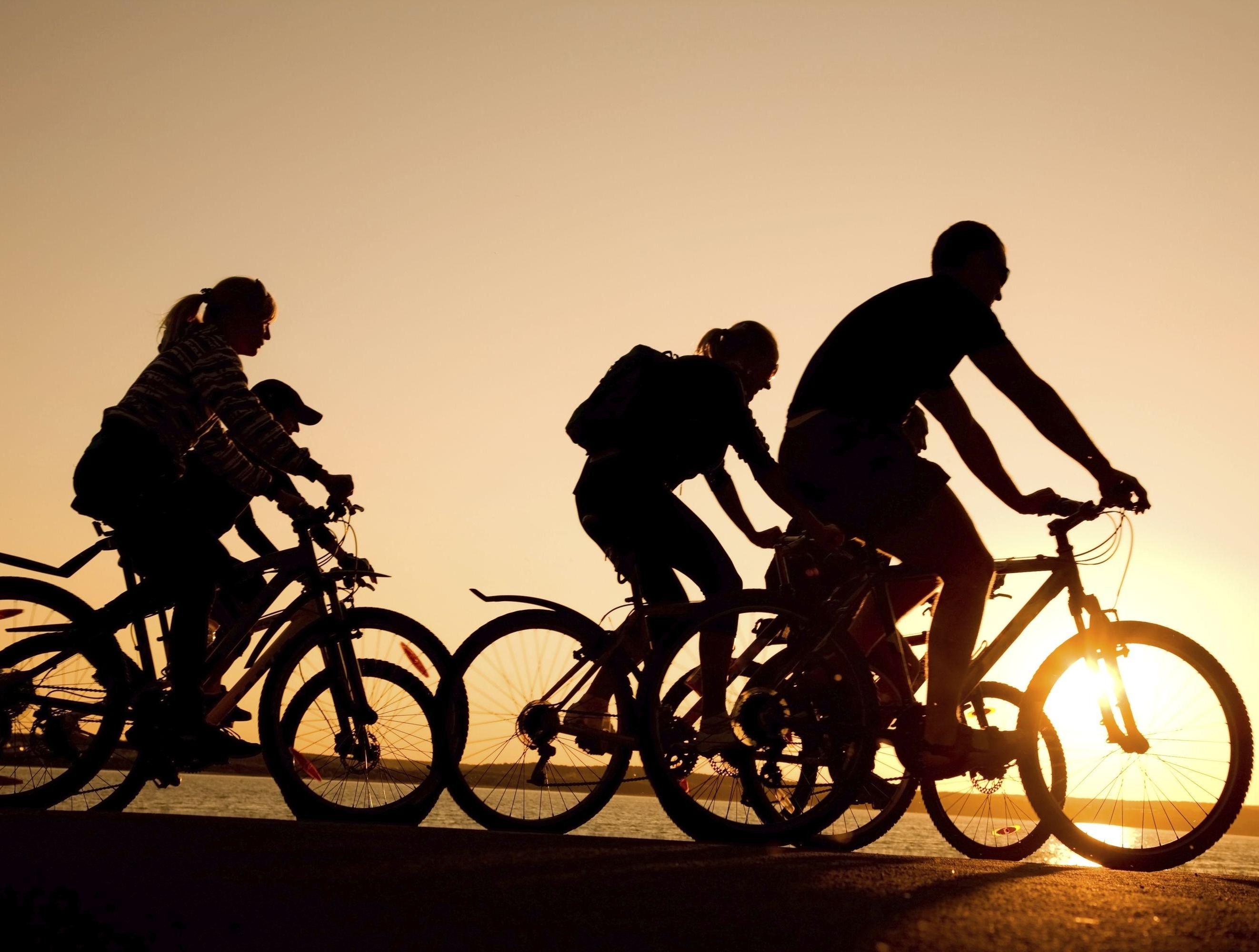 Wyk auf Föhr: Fahrradverleih Rückenwind