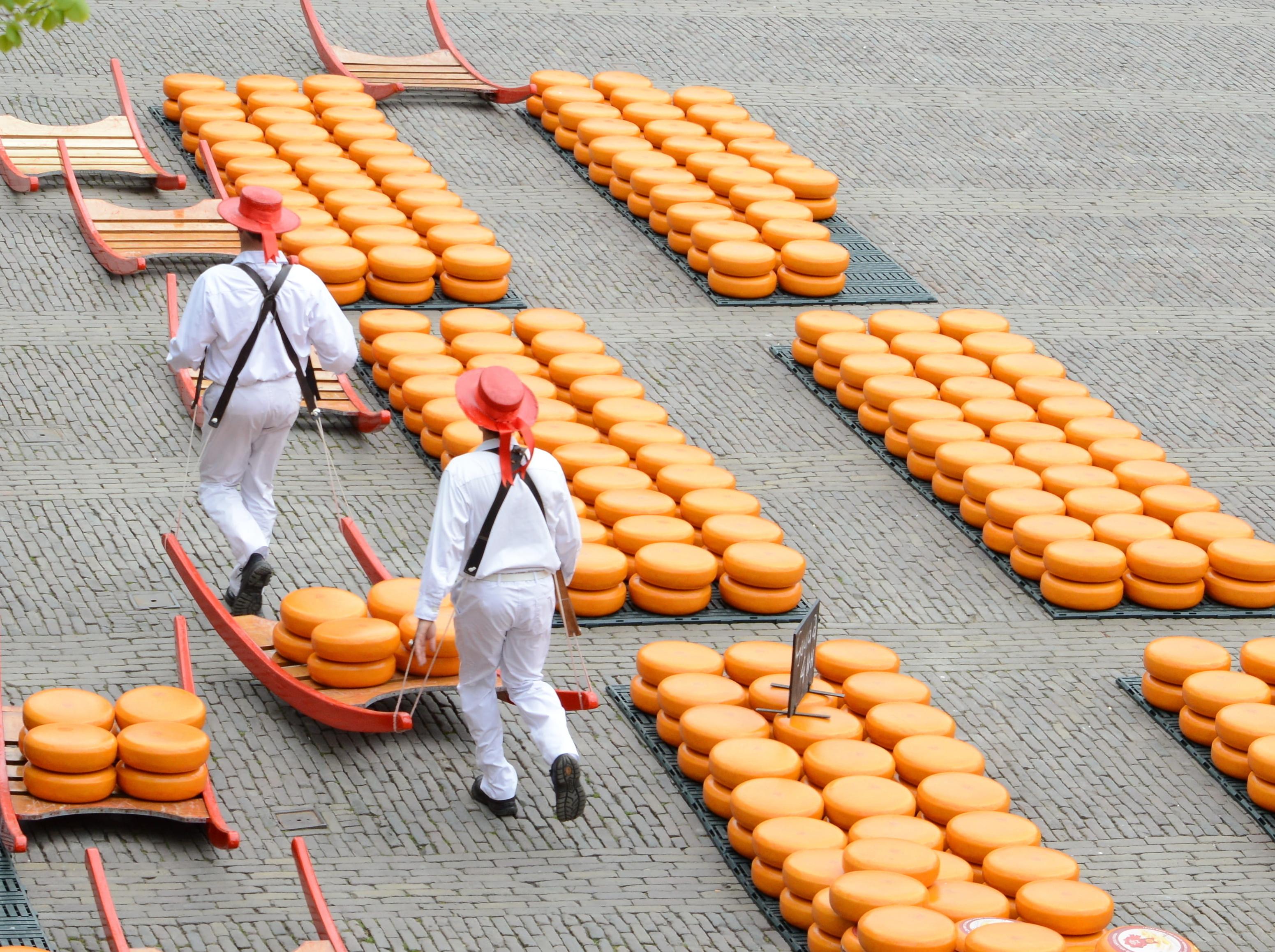 Käsemarkt in Alkmaar
