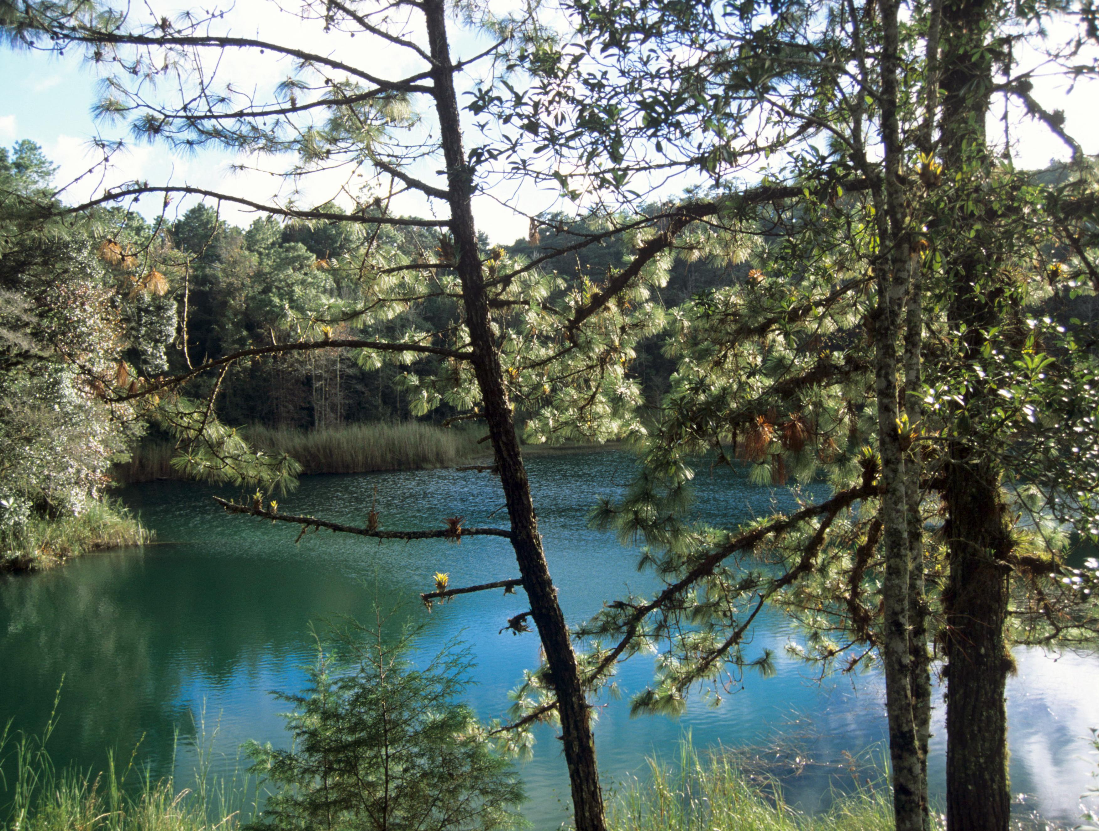 Parque Nacional Lagunas de Montebello