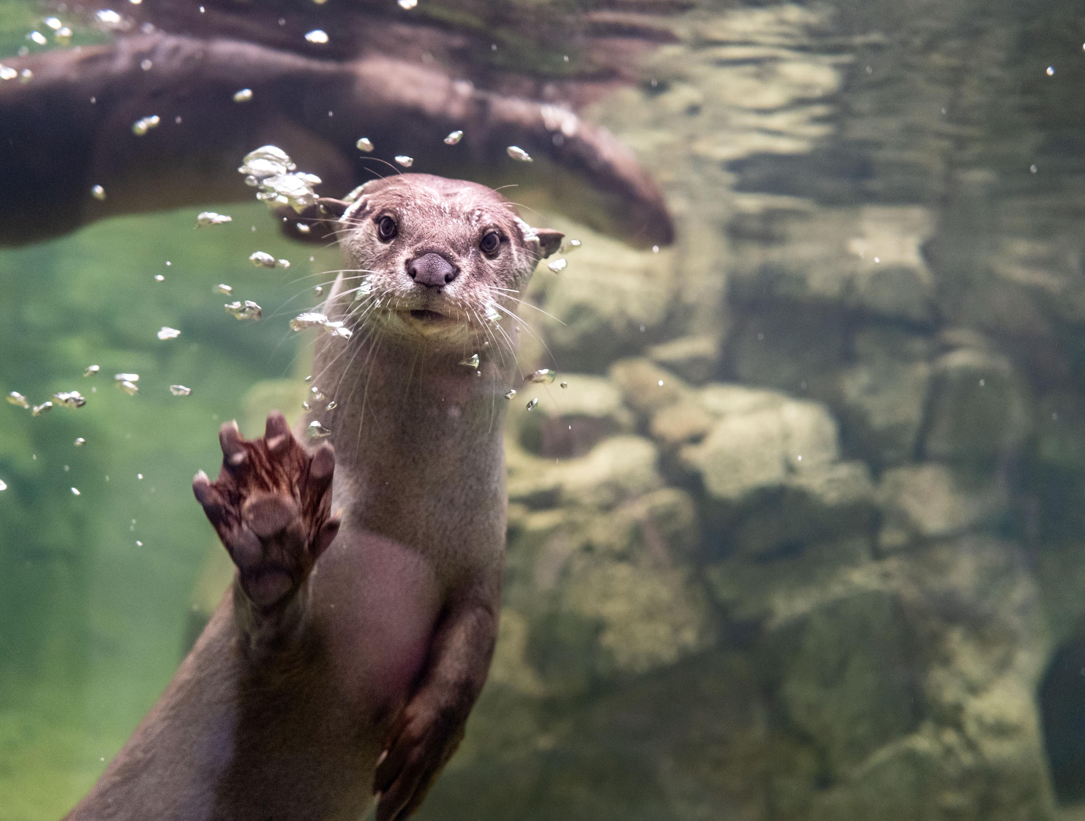Zoo Dresden_Glattotter_ illuminationdesign