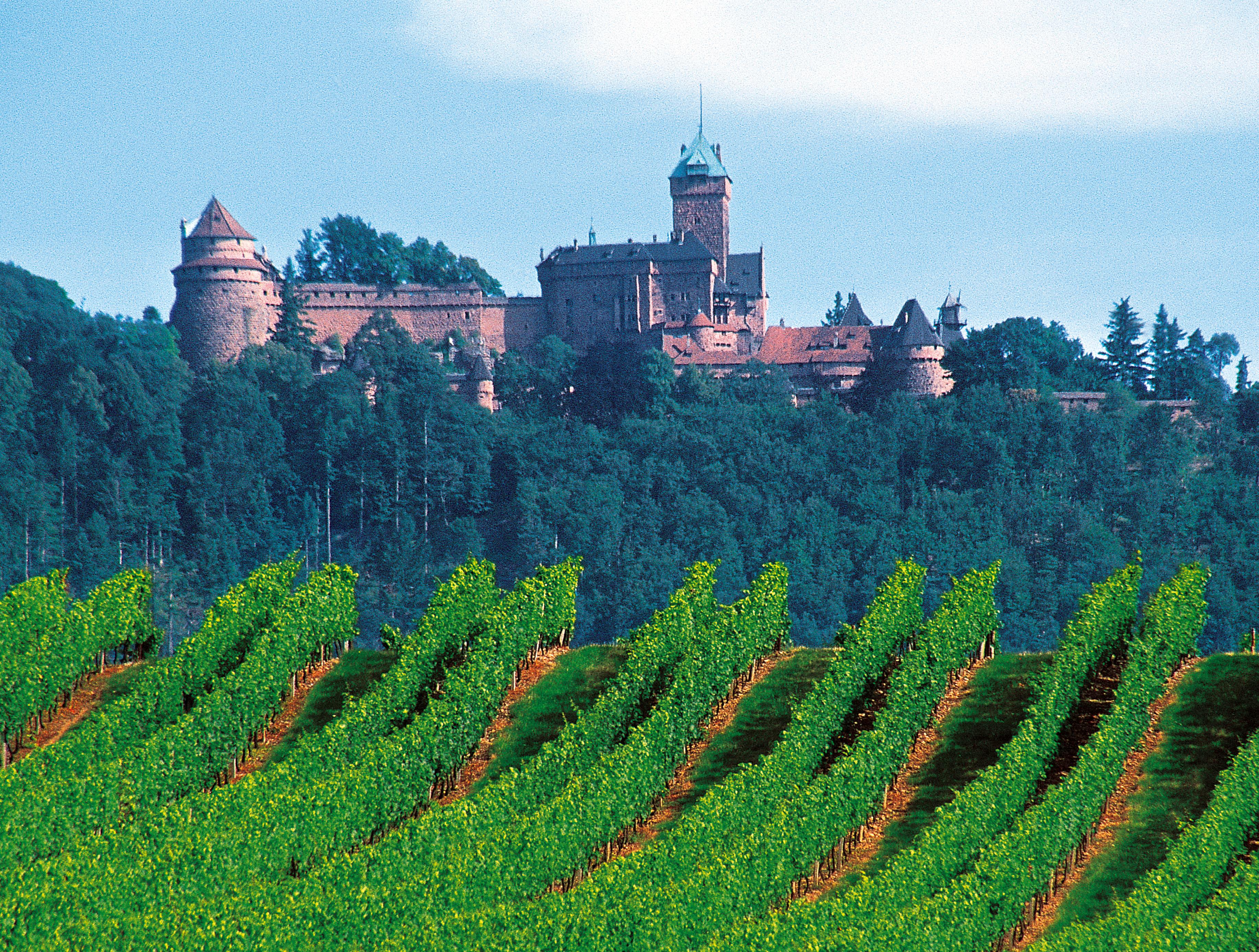 Château du Haut-Kœnigsbourg