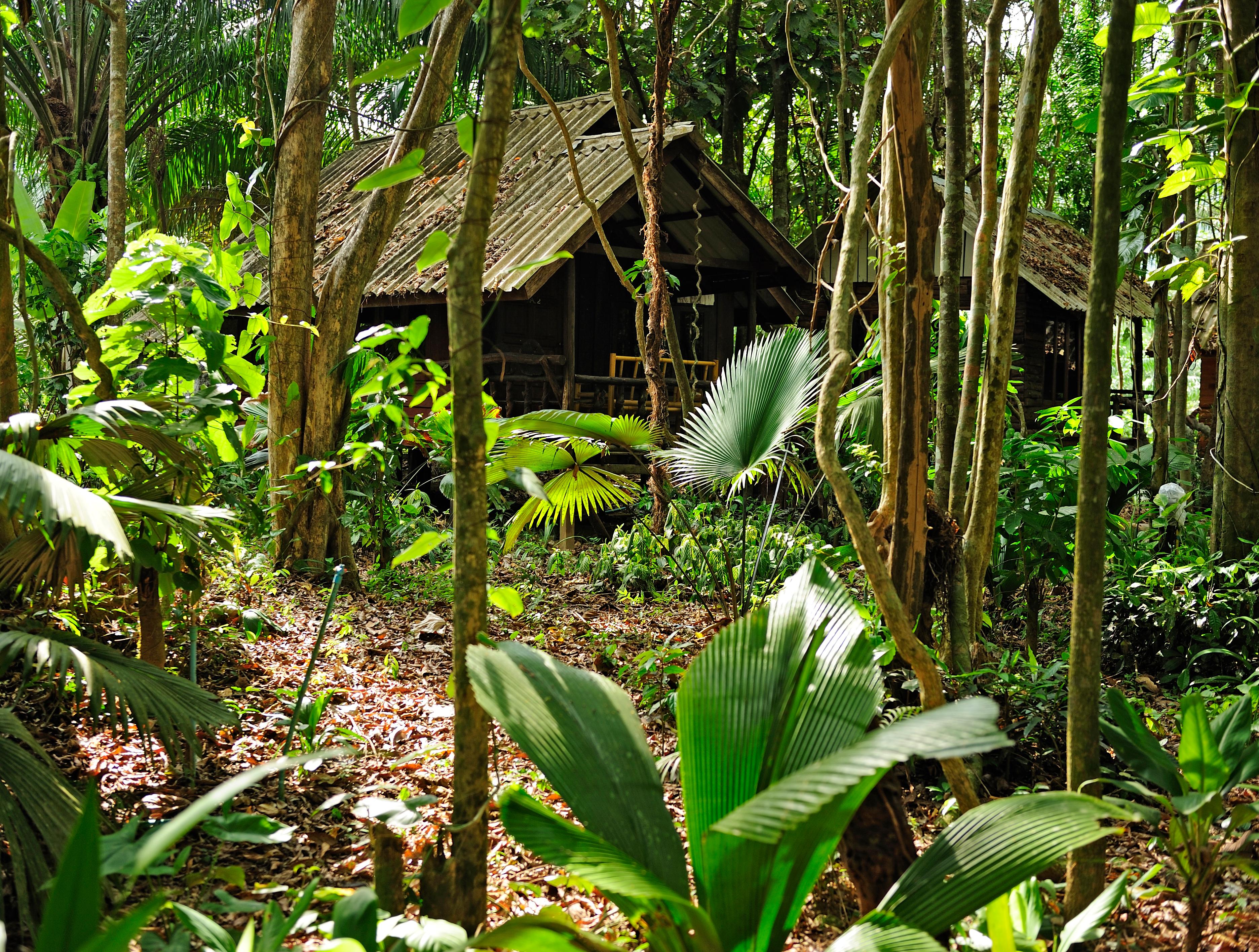 Khao Sok National Park