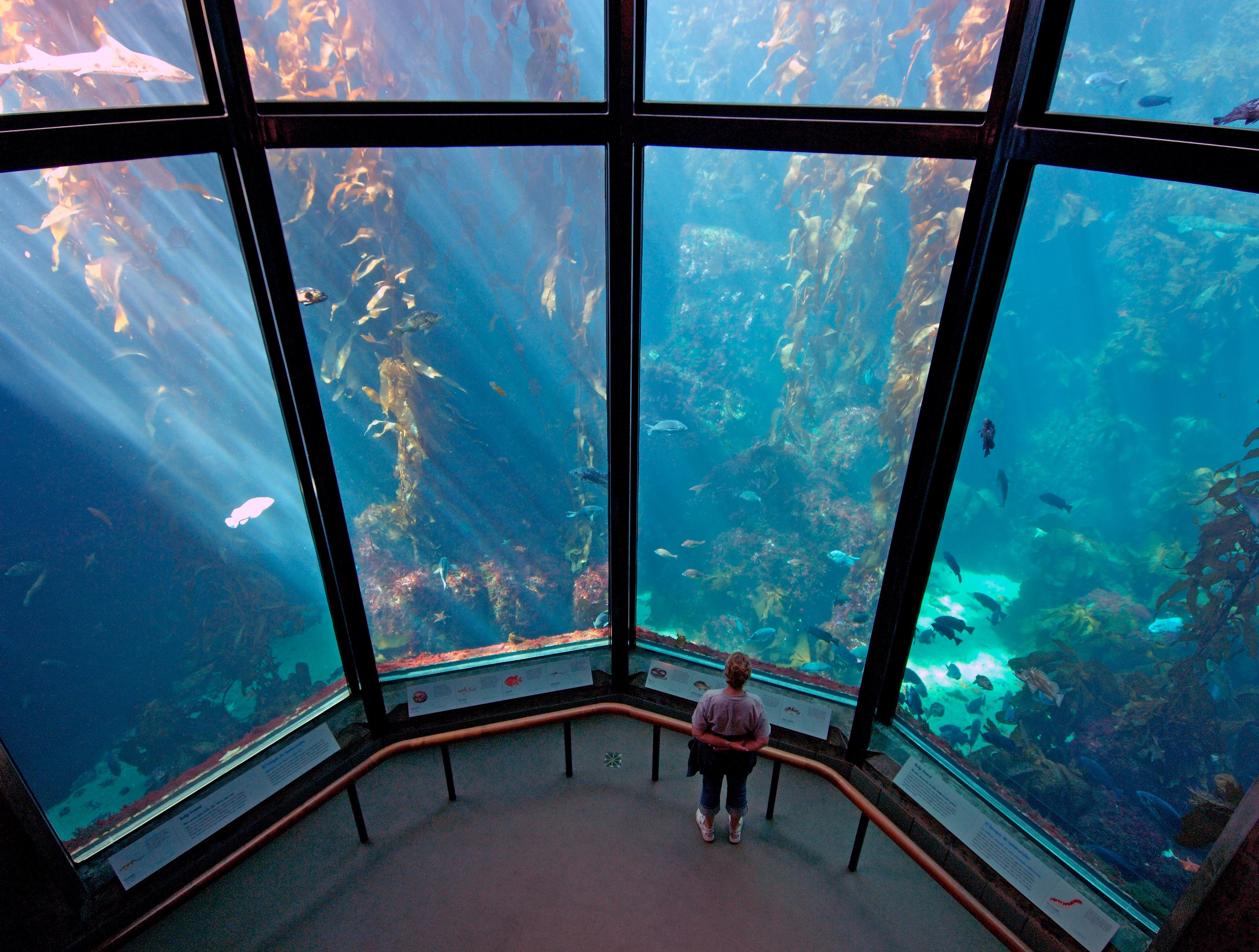 Monterey Bay Aquarium