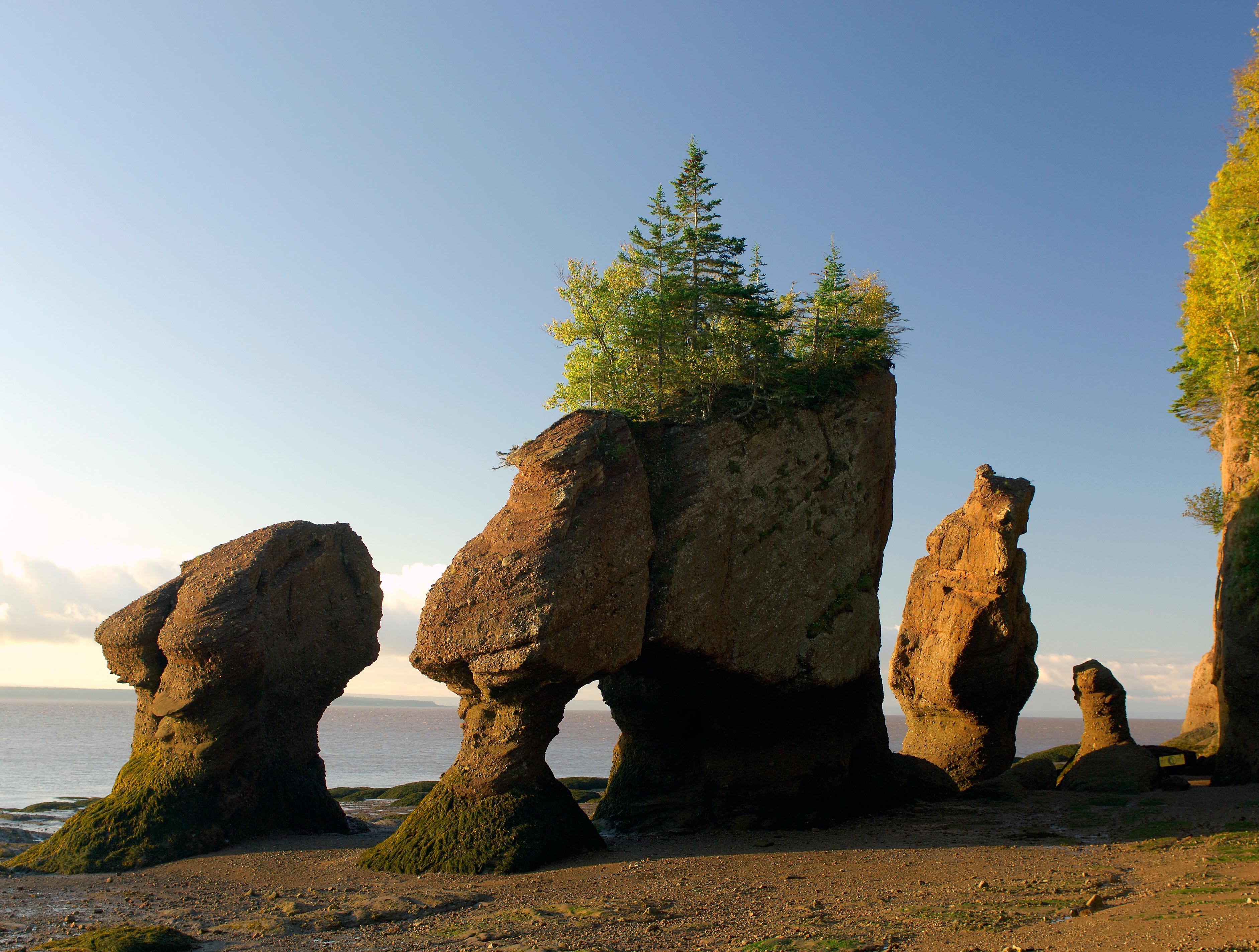 Hopewell Rocks