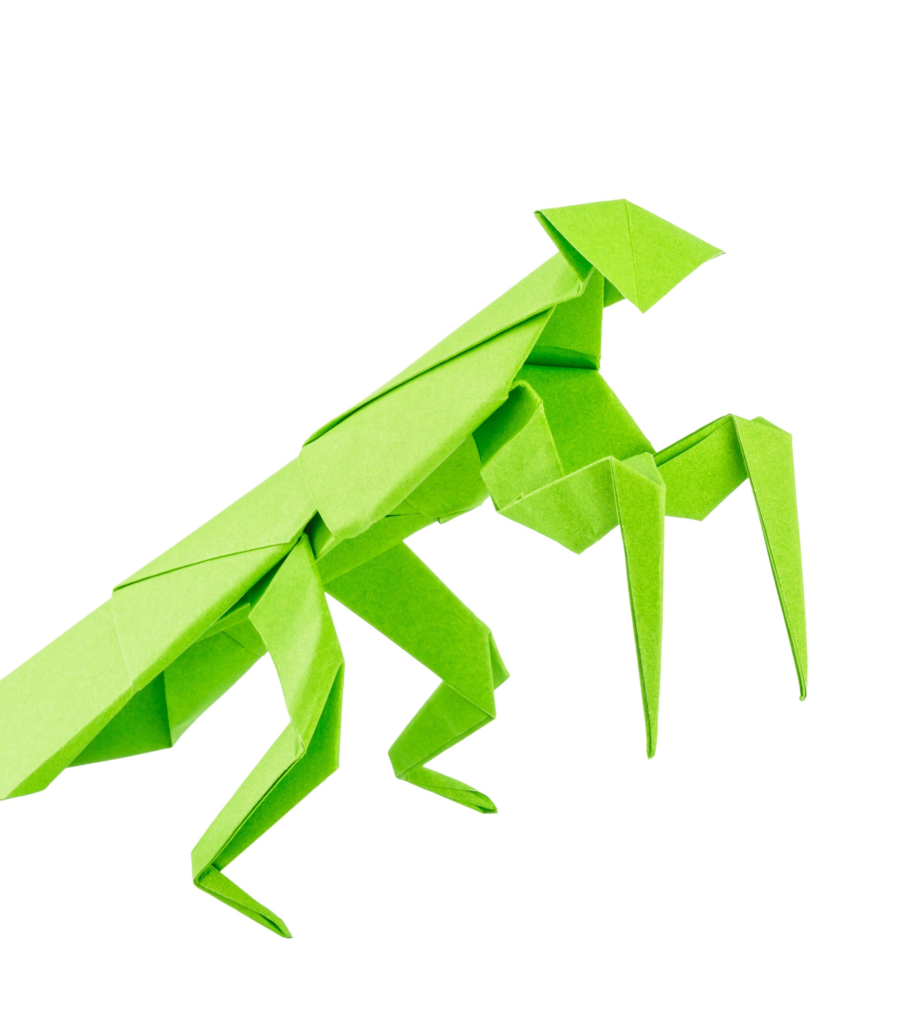 Origami Heuschrecke