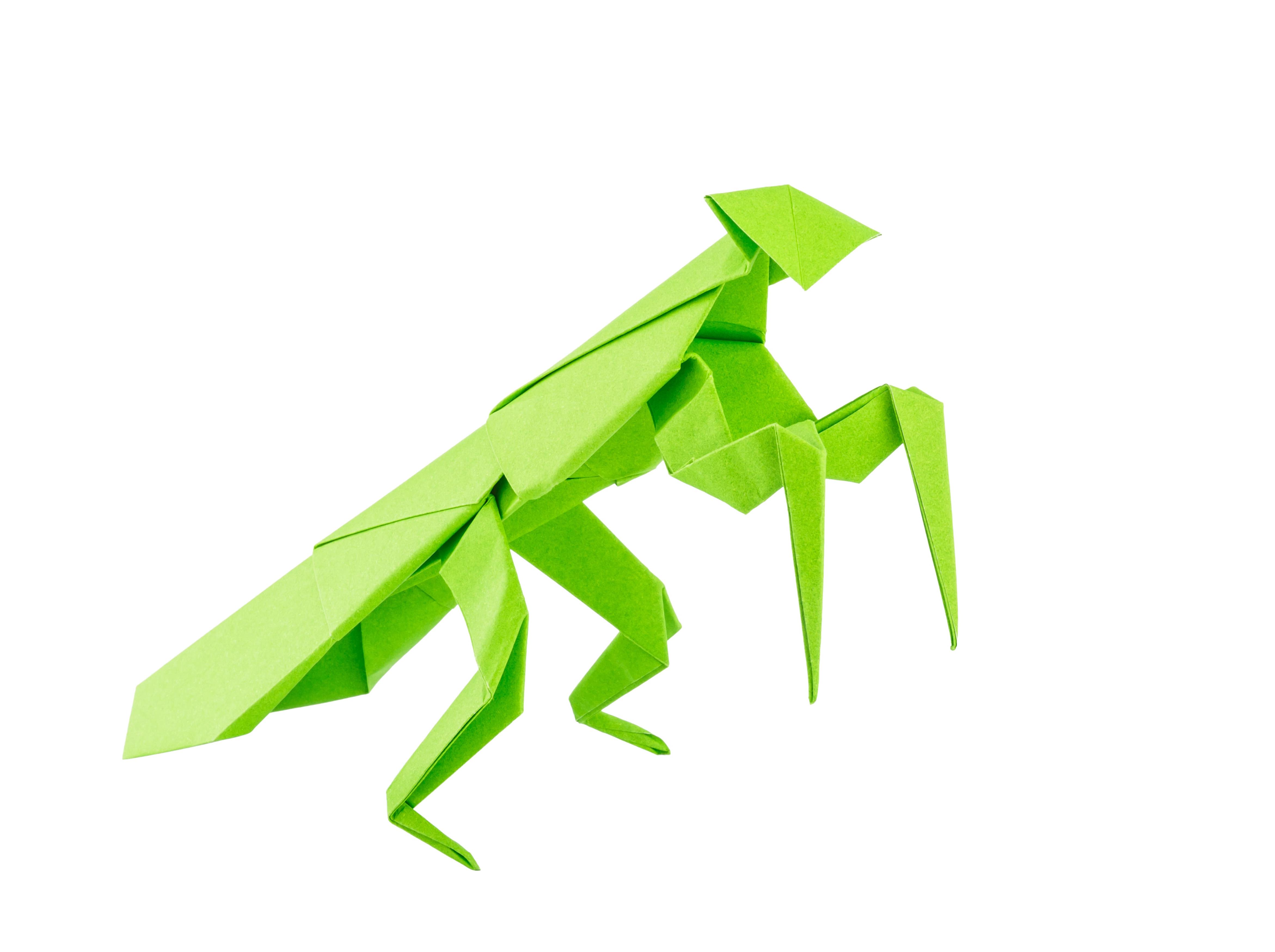 Origami Heuschrecke