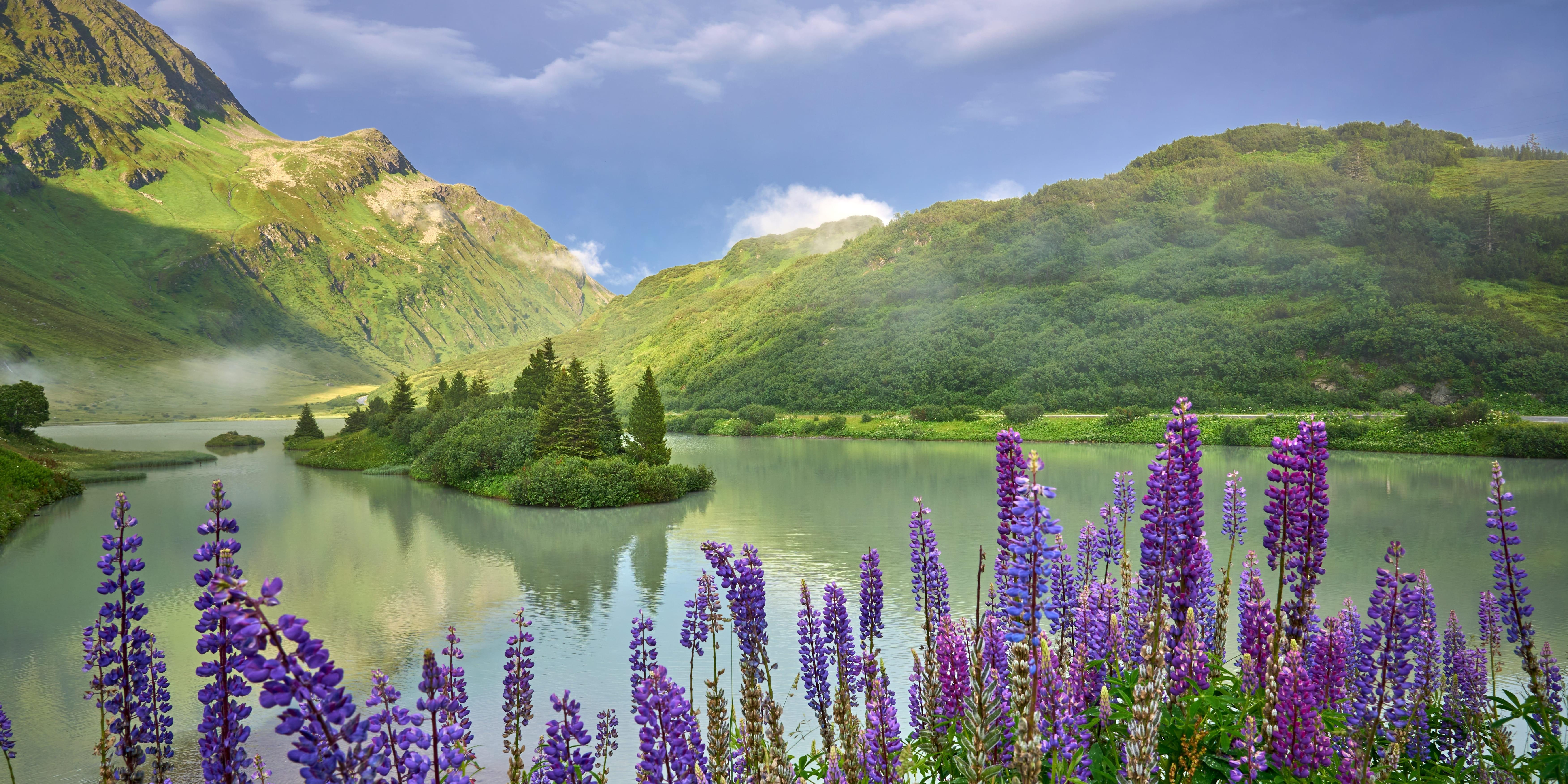 Blick auf den Zeinissee mit blühenden Blumen