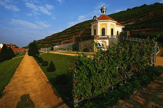 Sächsisches Staatsweingut Schloss Wackerbarth