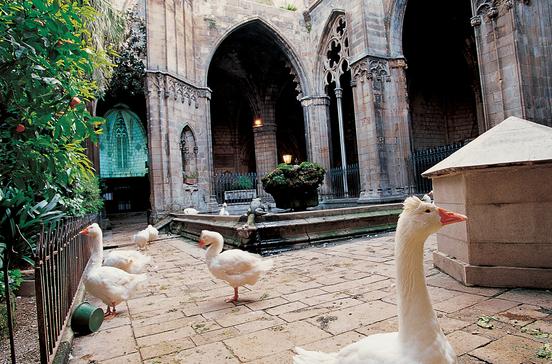 Catedral de Barcelona