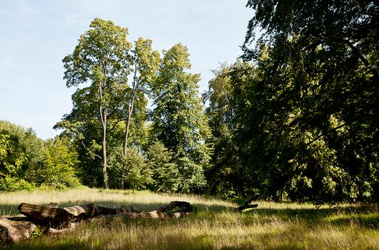 Volkspark Klein-Glienicke