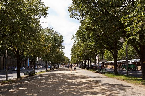 Unter den Linden