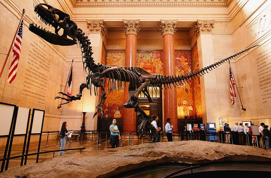 American Museum of Natural History