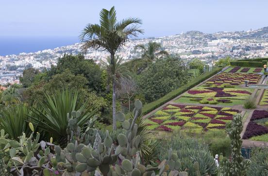 Jardim Botânico Jardim Botânico
