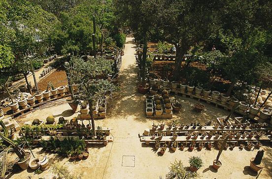 Argotti Botanical Gardens