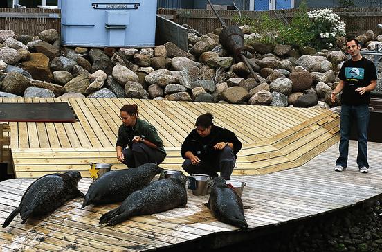 Fjord & Bælt Center Fjord & Bælt Center