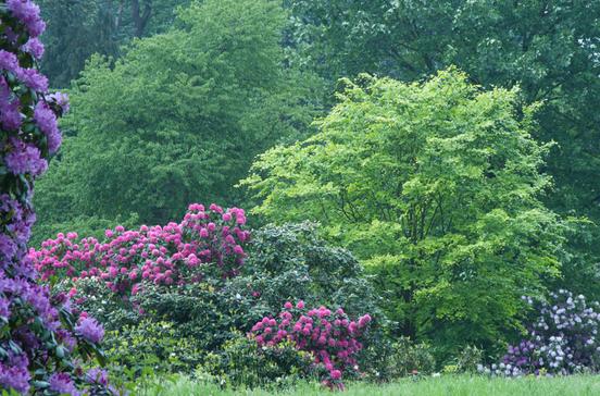 Jardin Botanique National de Belgique