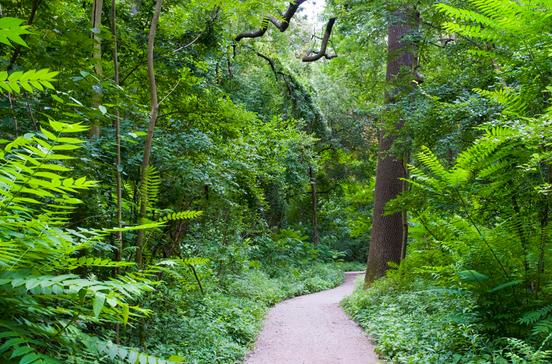 Nationalpark Donau-Auen