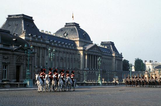 Palais du Roi
