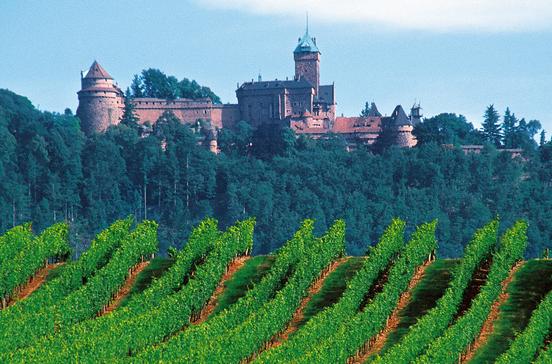 Château du Haut-Kœnigsbourg Château du Haut-Kœnigsbourg