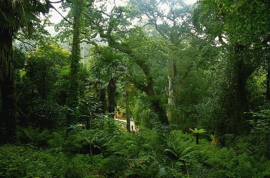 The Lost Gardens of Heligan