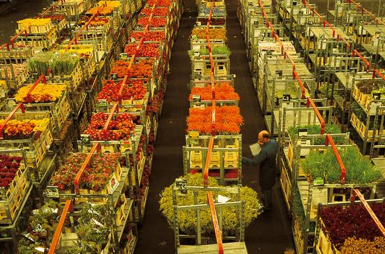 FloraHolland Aalsmeer