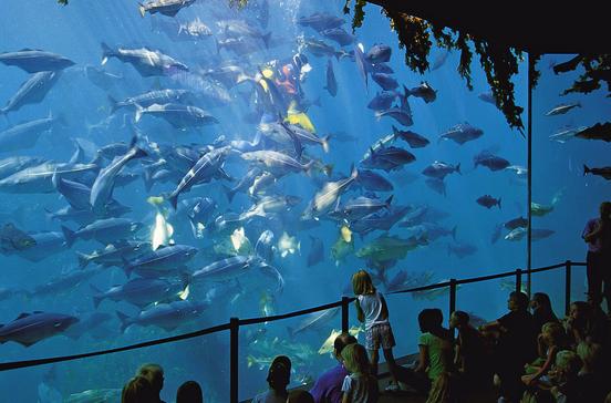 Atlanterhavensparken