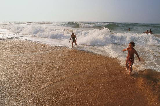 Parque Natural do Sudoeste Alentejano e Costa Vicentina Parque Natural do Sudoeste Alentejano e Costa Vicentina