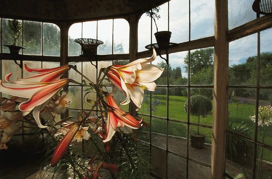 NorrvikensTrädgårdar