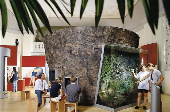 Maarmuseum Manderscheid