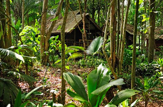 Khao Sok National Park