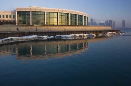 Shedd Aquarium