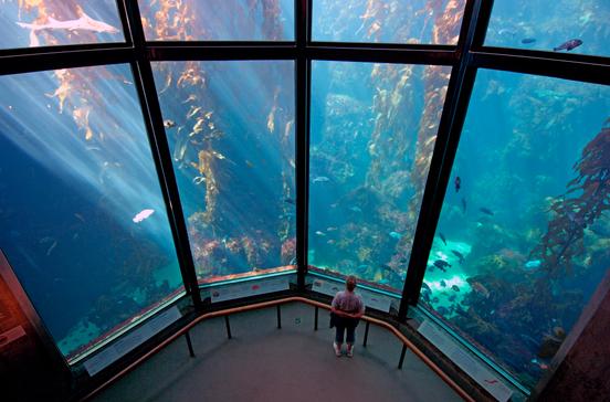 Monterey Bay Aquarium Monterey Bay Aquarium