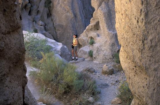 Mojave National Preserve