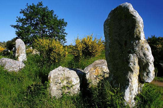 Les Alignments de Kermario
