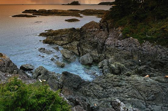 Pacific Rim National Park Reserve Pacific Rim National Park Reserve