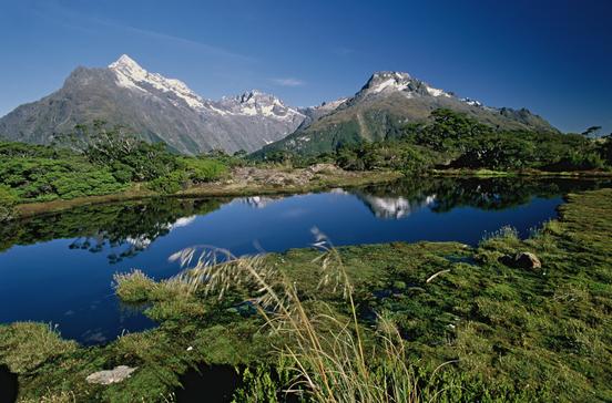 Fiordland National Park