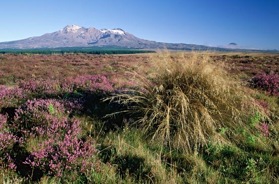 Tongariro National Park