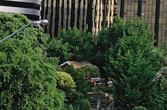 Bolton Street Memorial Park