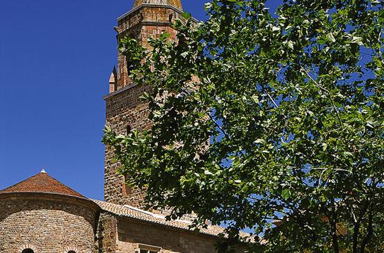 Cathédrale Saint-Léonce Cathédrale Saint-Léonce