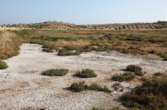 Reserva Natural do Sapal de Castro Marim