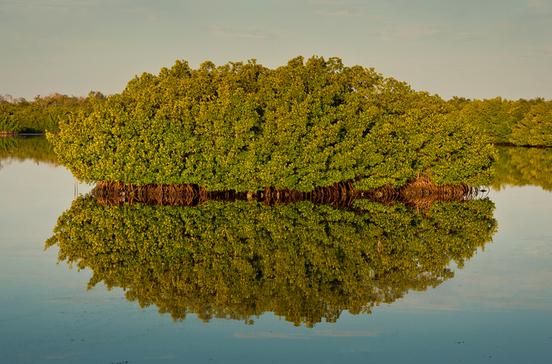 J. N. 'Ding' Darling National Wildlife Refuge J. N. 'Ding' Darling National Wildlife Refuge