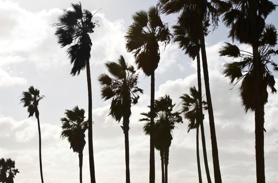 Segway Los Angeles Segway Los Angeles