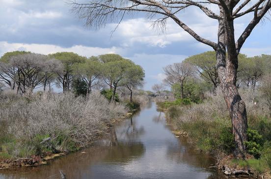 Parco Regionale della Maremma