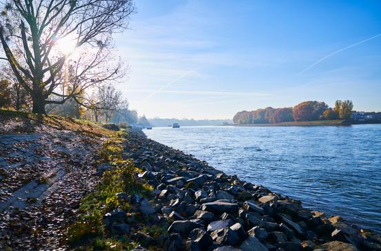 Stadtmarketing Mannheim GmbH, Michael Brand