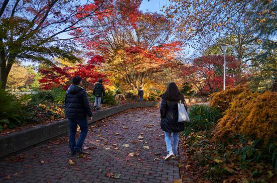 Stadtmarketing Mannheim GmbH, Tommy Hetzel