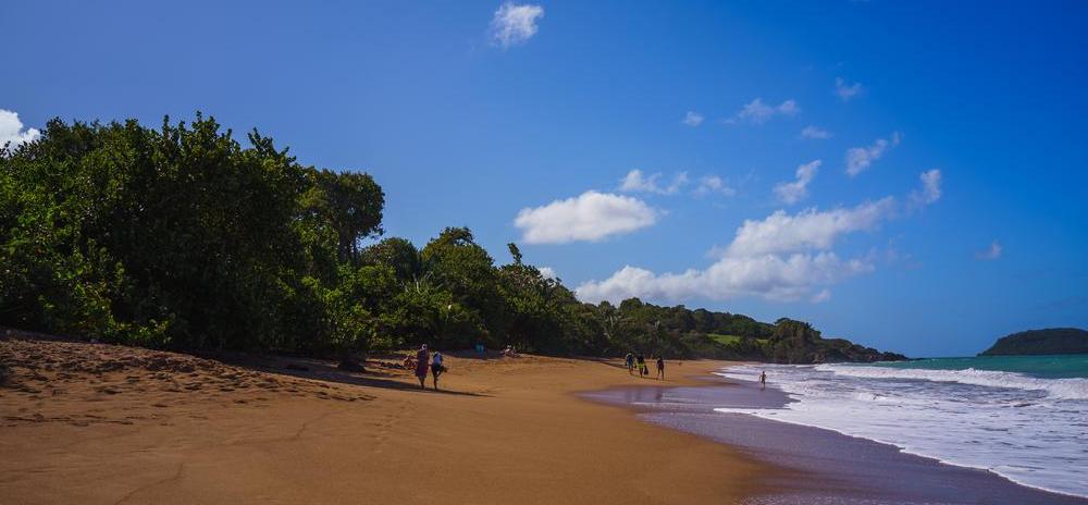 Guadeloupe Reiseführer, Reise & Reisetipps MARCO POLO
