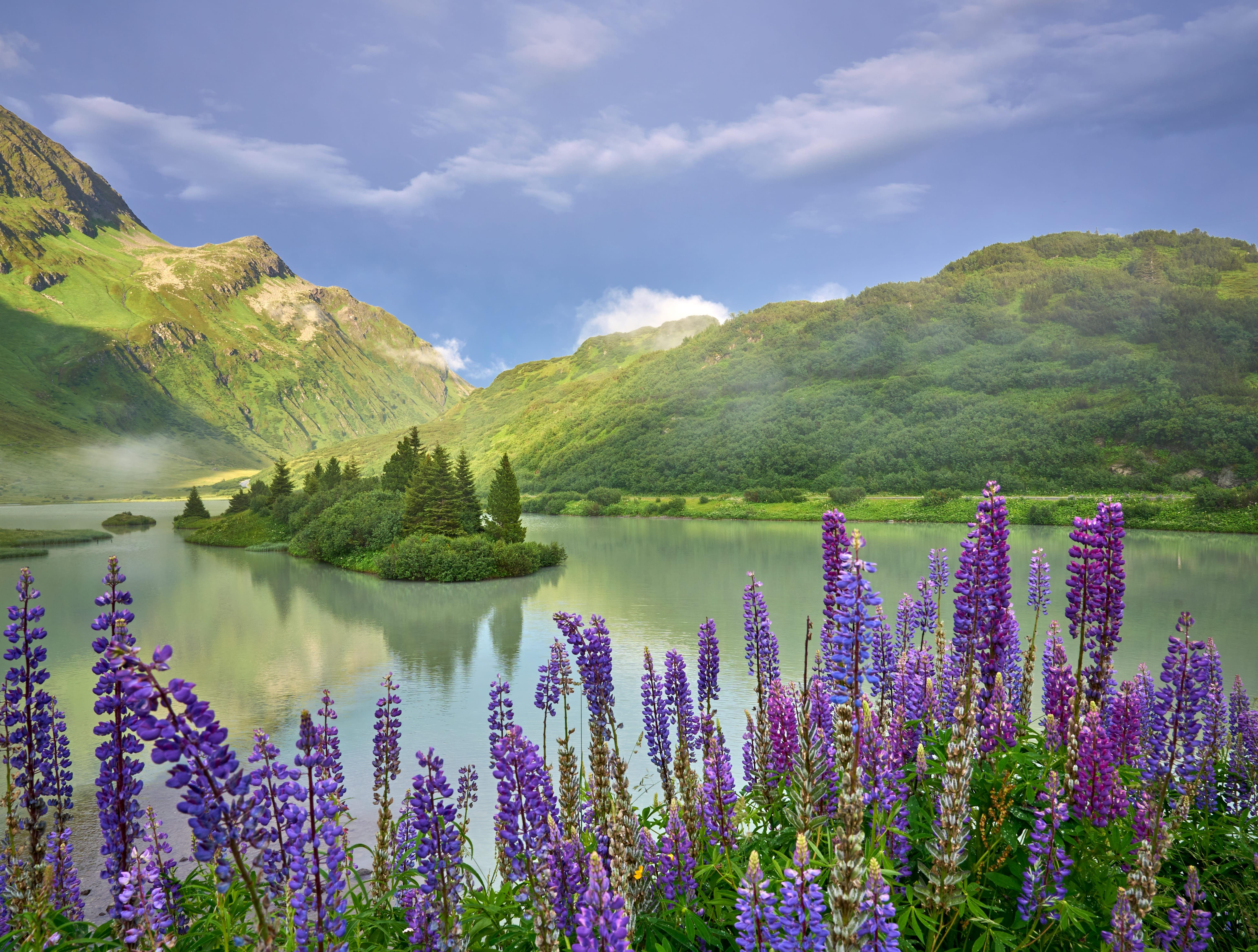 Blick auf den Zeinissee mit blühenden Blumen